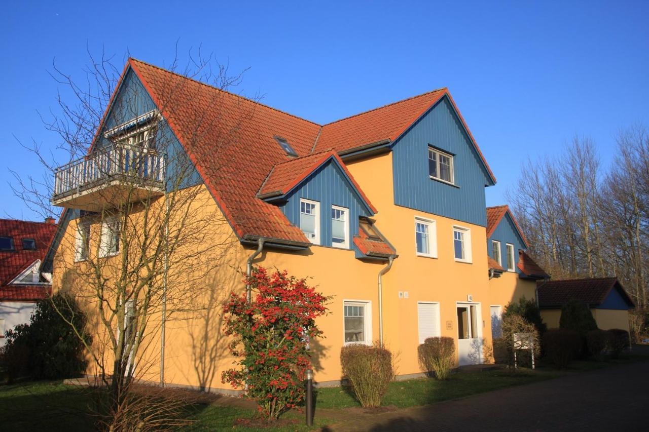 Haus Sonne Whg_3 Daire Zingst Dış mekan fotoğraf